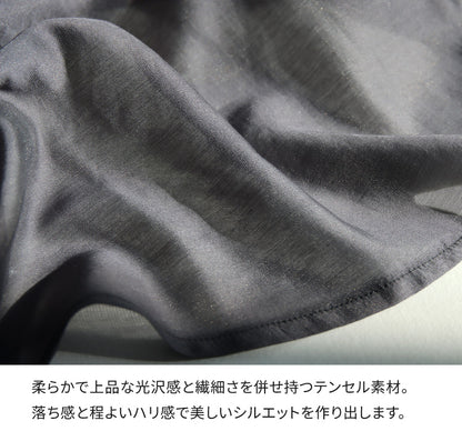 シアーボウタイブラウス