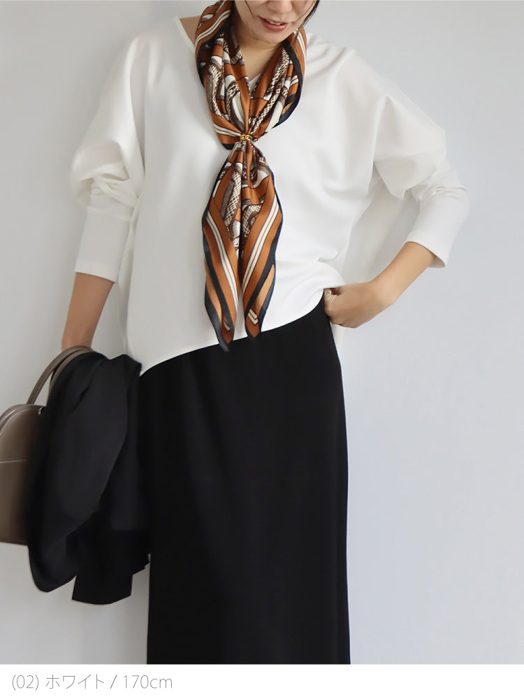 ポンチＶネックプルオーバー