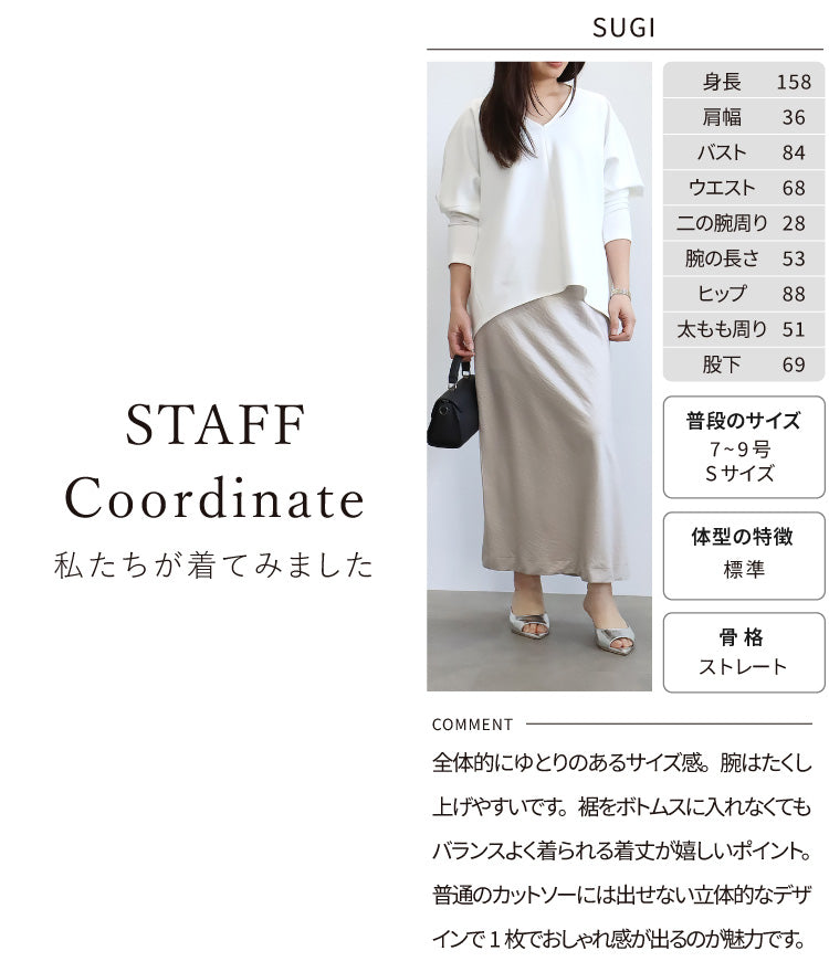 ポンチＶネックプルオーバー