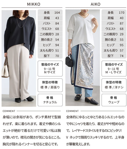 ポンチＶネックプルオーバー