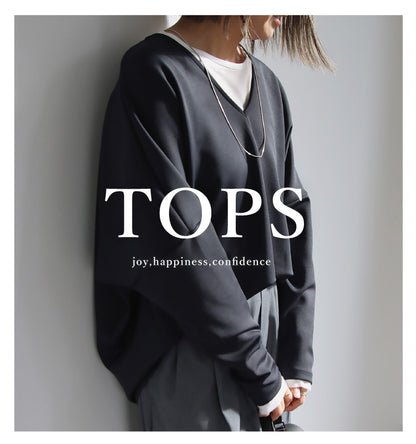 ポンチＶネックプルオーバー