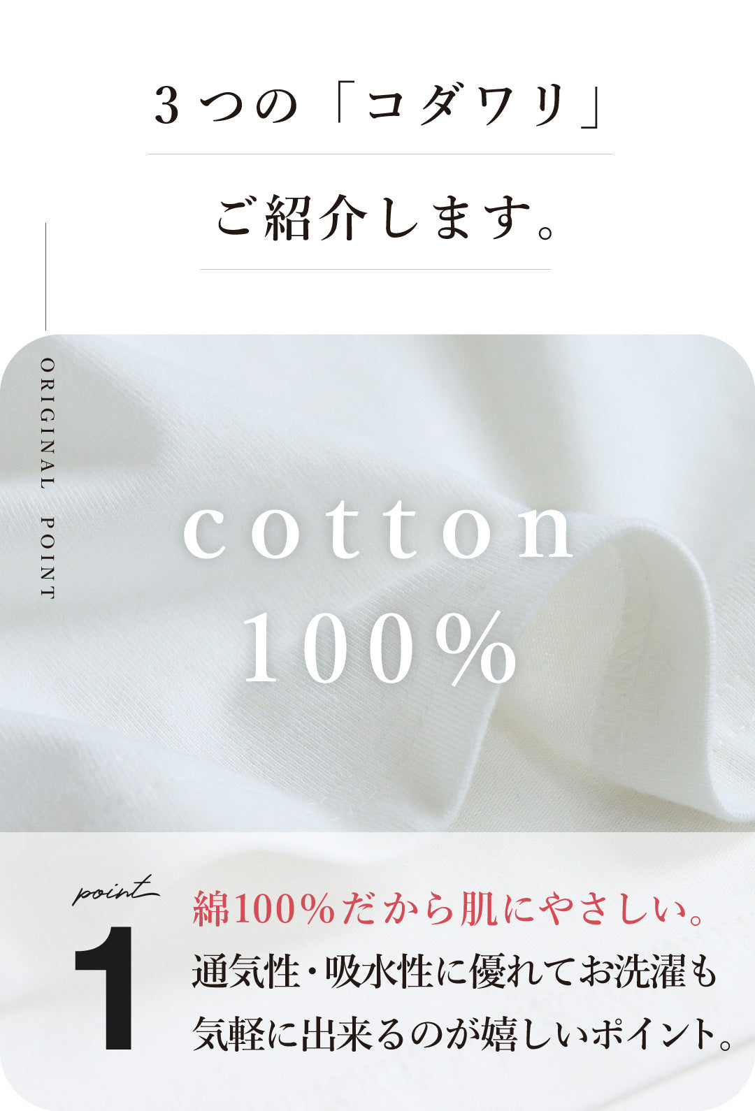 ビッグロゴTシャツ